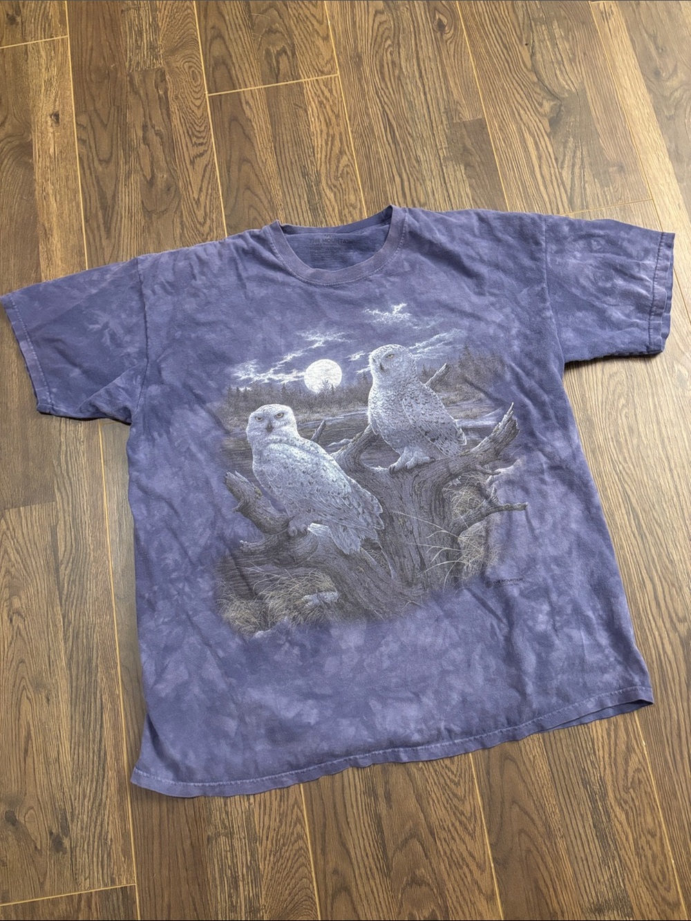 The Mountain Y2K Owls at Night T-Shirt